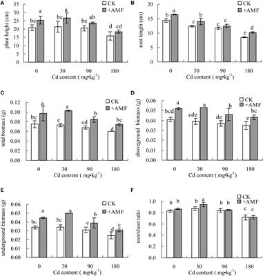 Arbuscular Mycorrhizal Fungi (Glomus mosseae) Improves Growth, Photosynthesis and Protects Photosystem II in Leaves of Lolium perenne L. in Cadmium Contaminated Soil